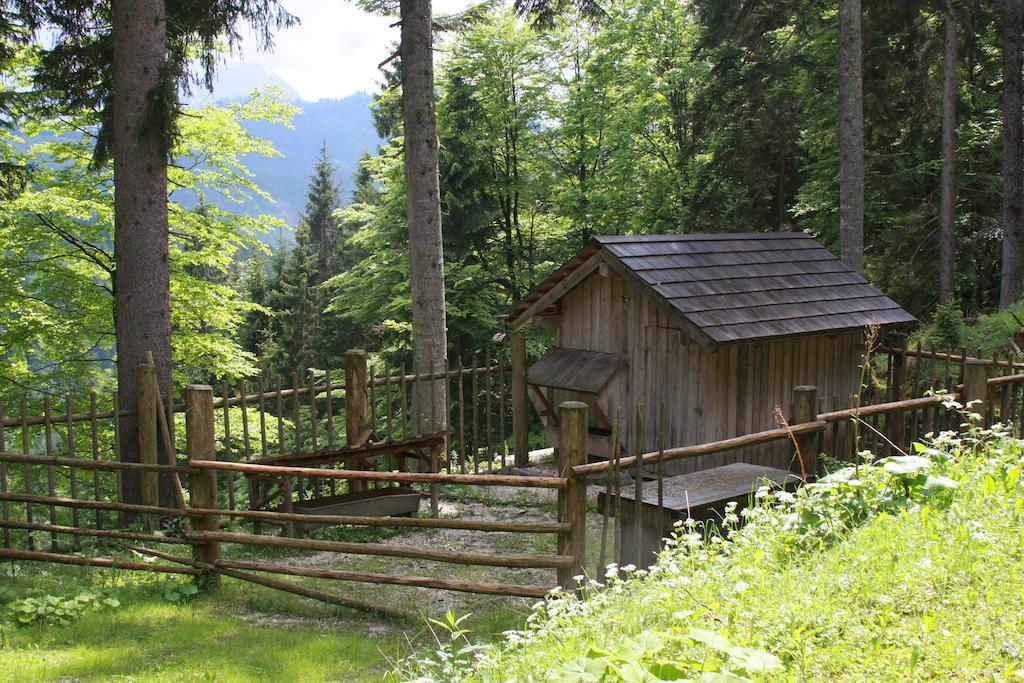 Haus Salzkammergut Obertraun Exterior photo